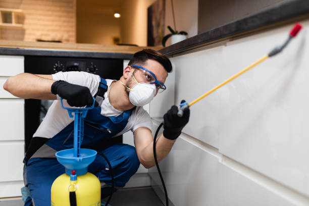 Best Affordable Pest Control Services  in Hearne, TX