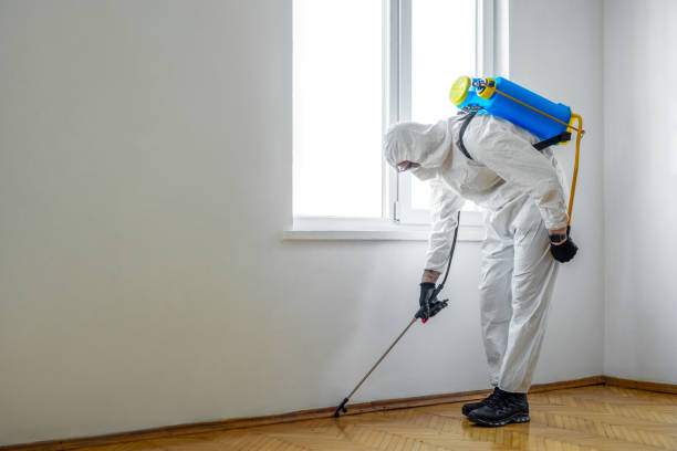 Best Flea Control Services  in Hearne, TX