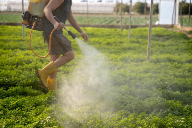 Best Residential Pest Control  in Hearne, TX