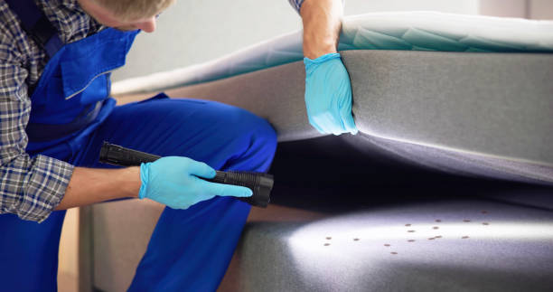 Best Local Pest Control Services  in Hearne, TX