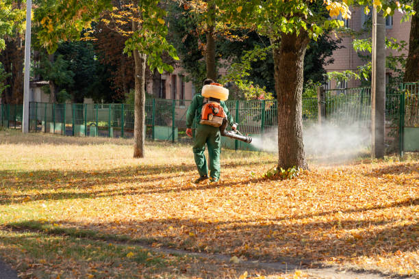 Best Pest Removal Services  in Hearne, TX