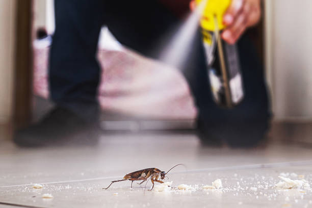 Flea Control Services in Hearne, TX