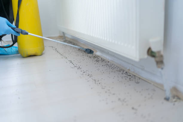 Best Emergency Pest Control  in Hearne, TX
