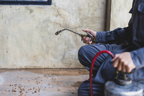 Best Ant Control Services  in Hearne, TX