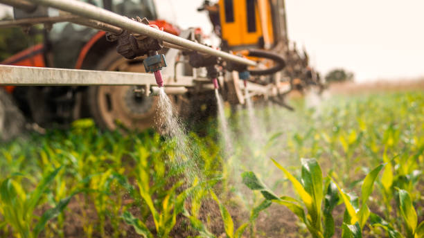 Best Best Pest Control Companies  in Hearne, TX